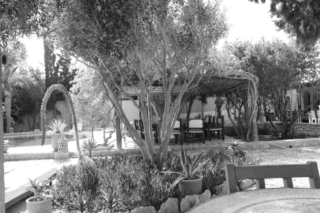الصويرة Villa Grenadine المظهر الخارجي الصورة